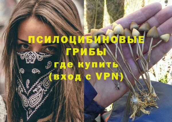 первитин Дмитровск